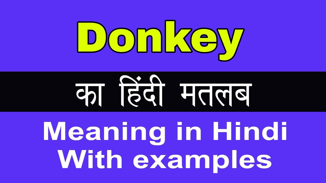 donkey from somewhere meaning in hindi