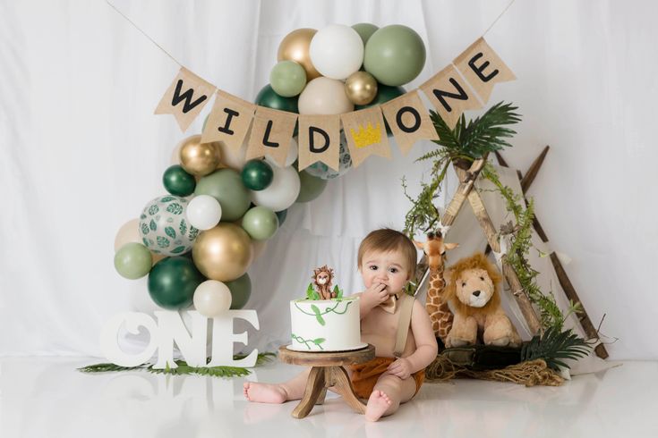 wild one birthday theme