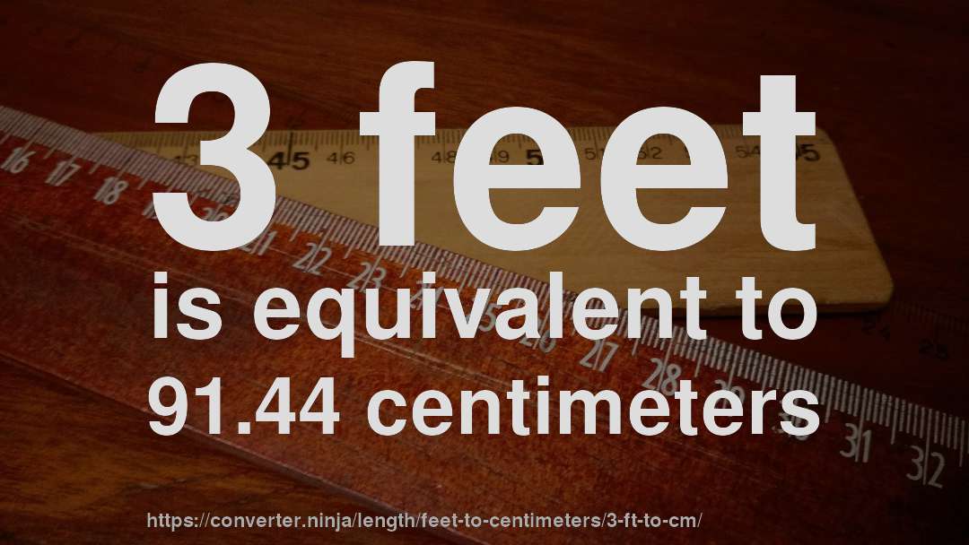 3 feet cm