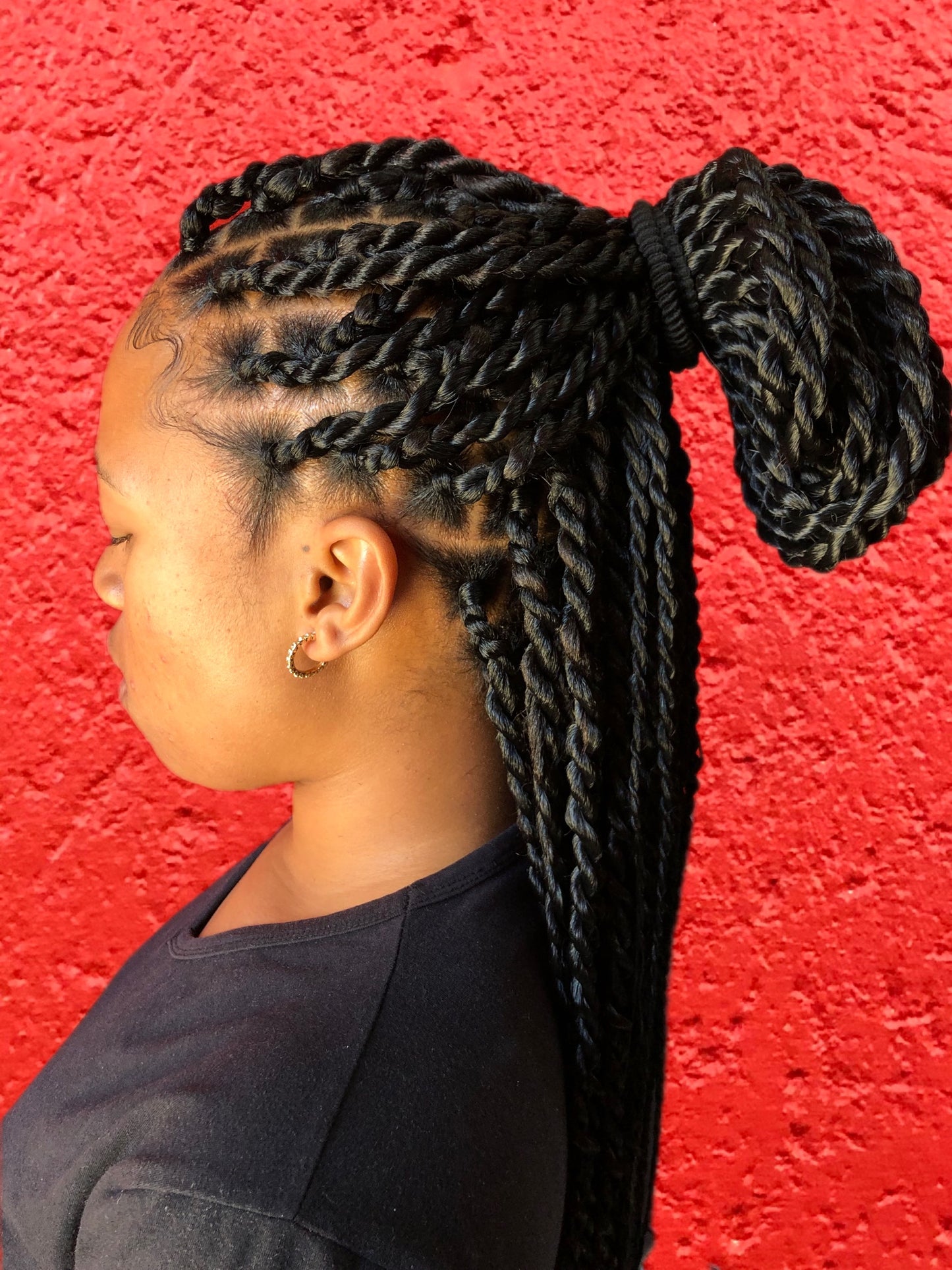 braids and twists