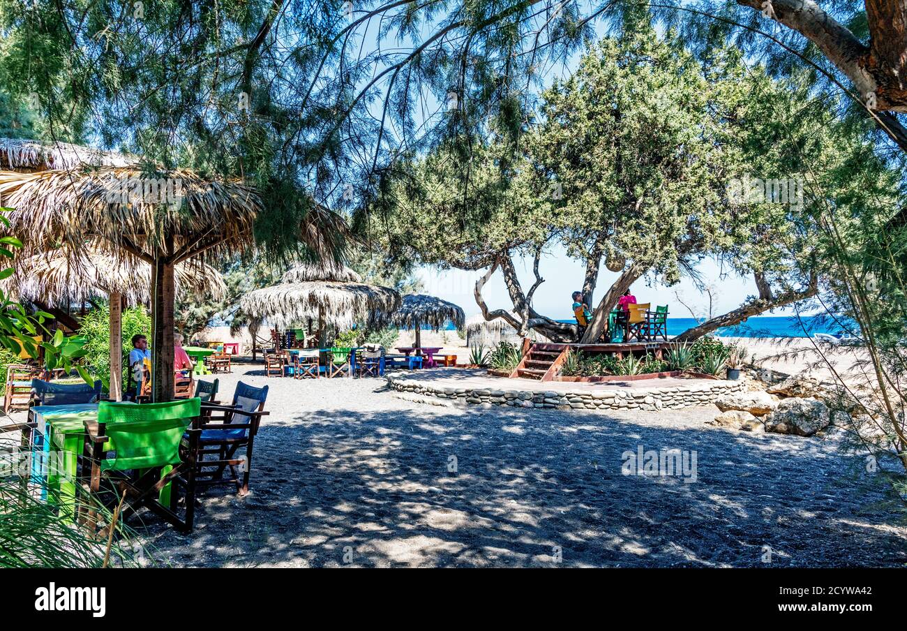 beach bar mojito