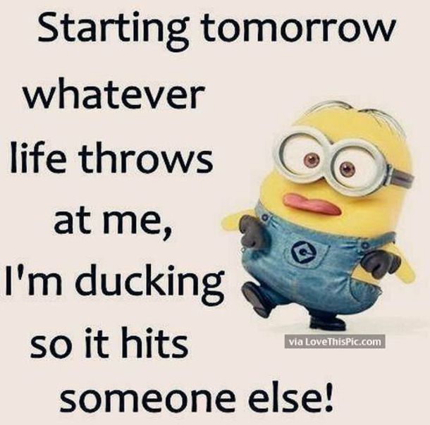 attitude funny minion quotes