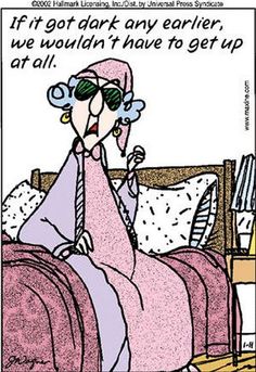 best maxine cartoons