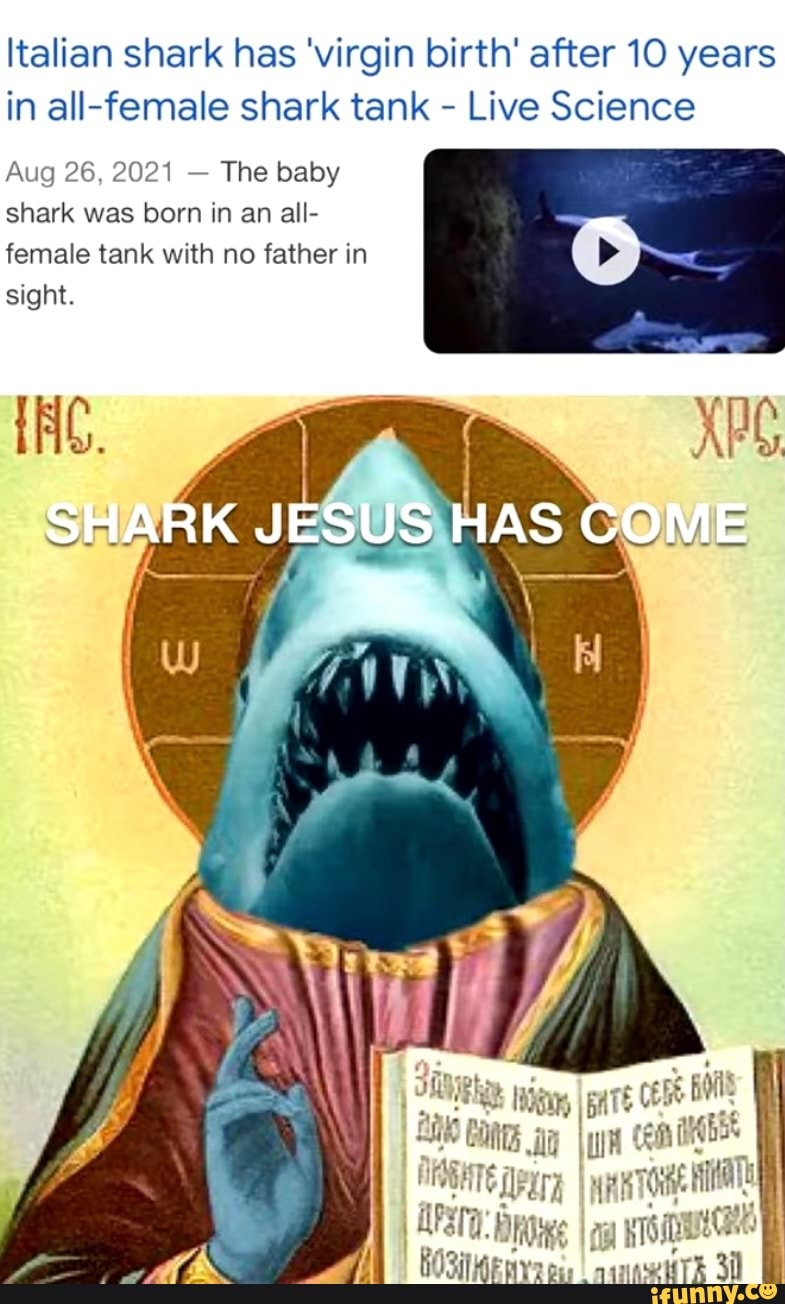 italian shark has virgin birth