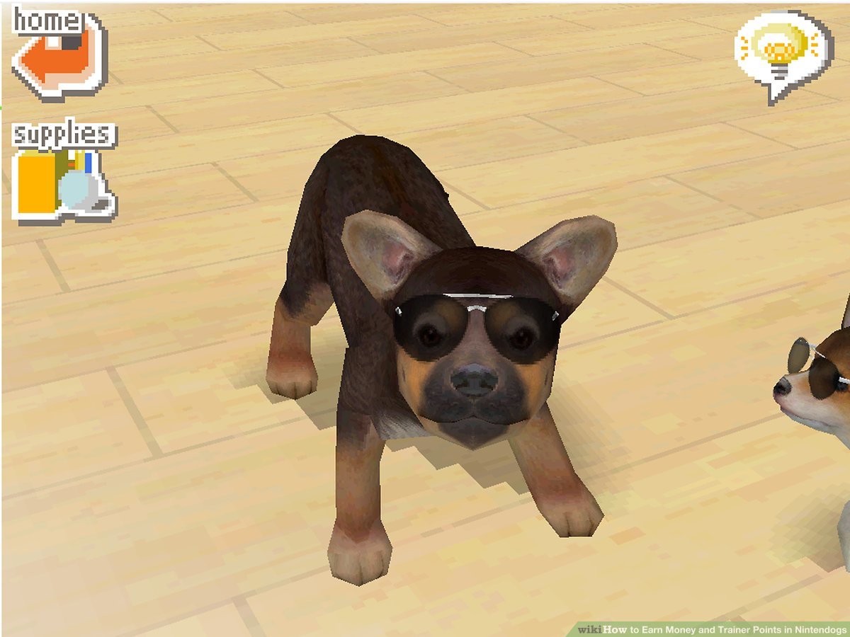 nintendogs how to get trainer points