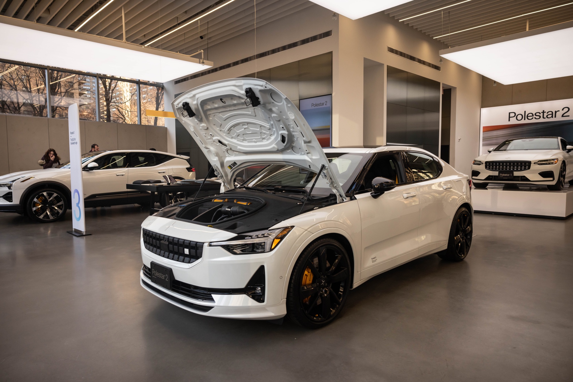 polestar stock