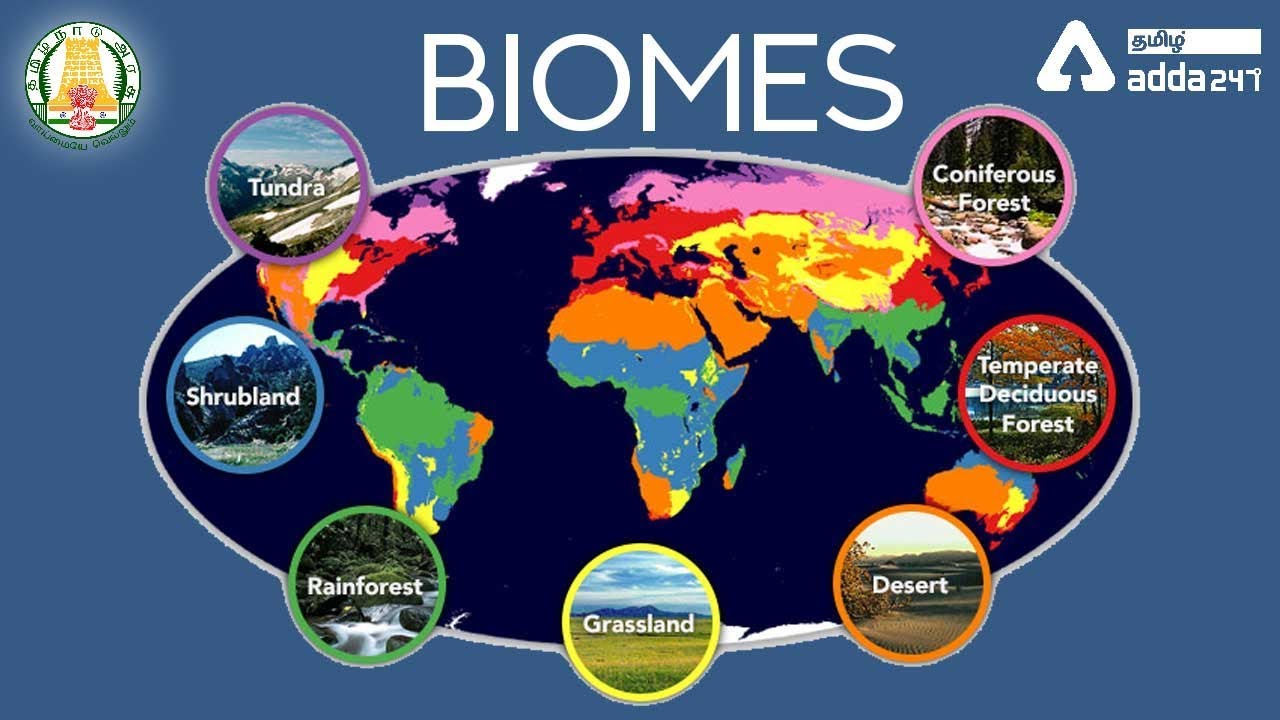 biome meaning in marathi