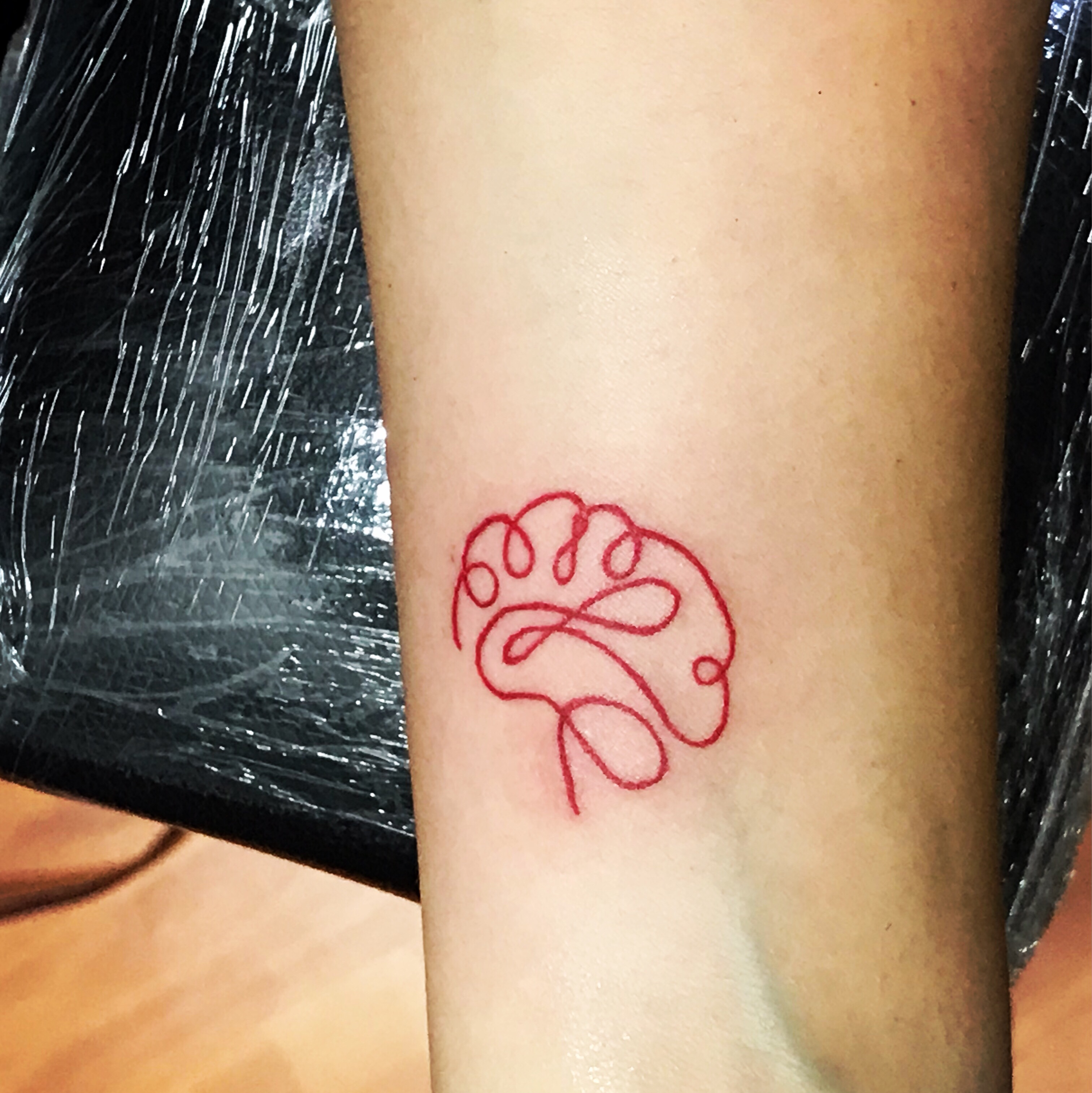 cerebro tatto