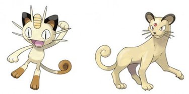 cat pokemon