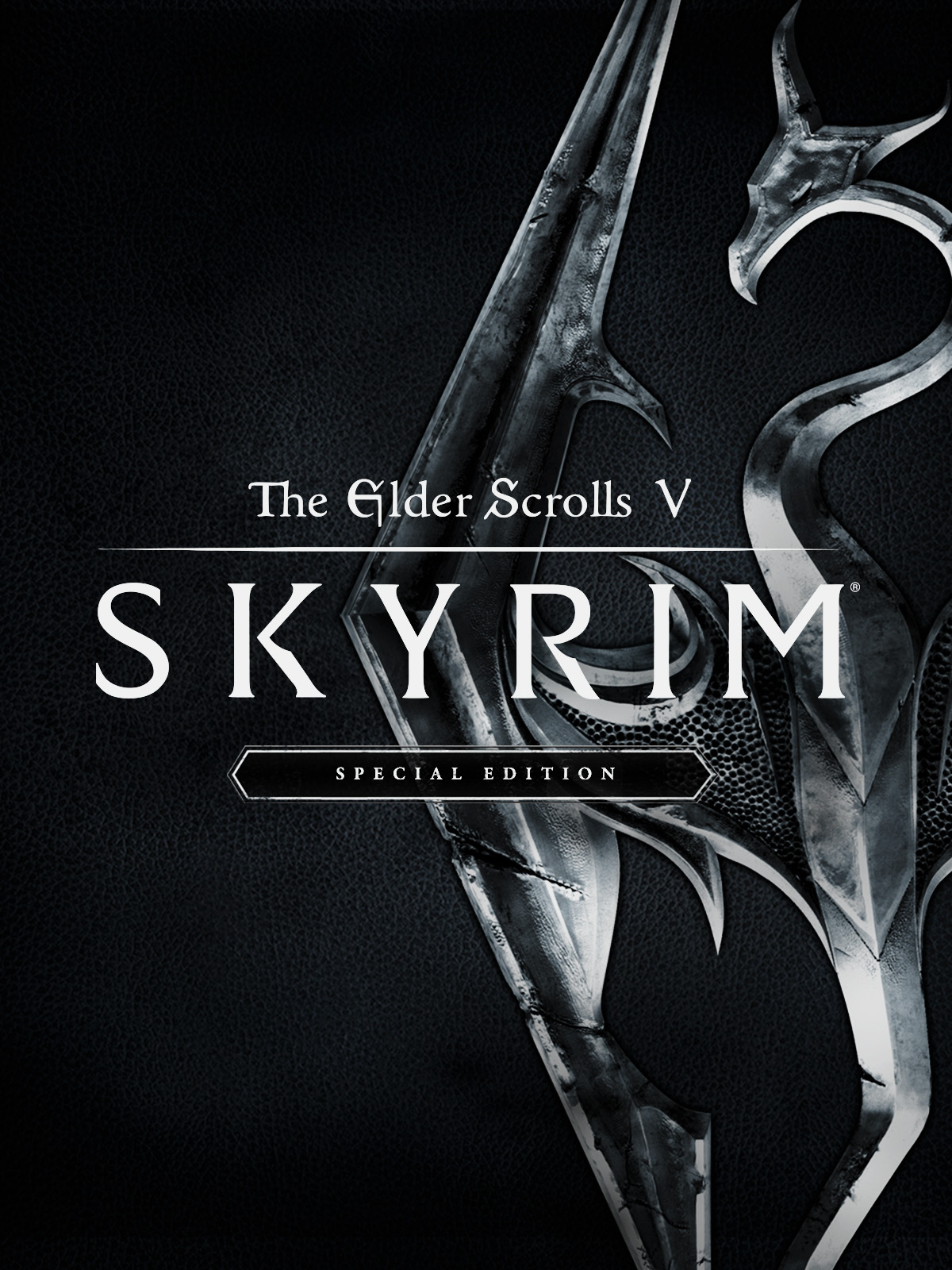 special skyrim edition