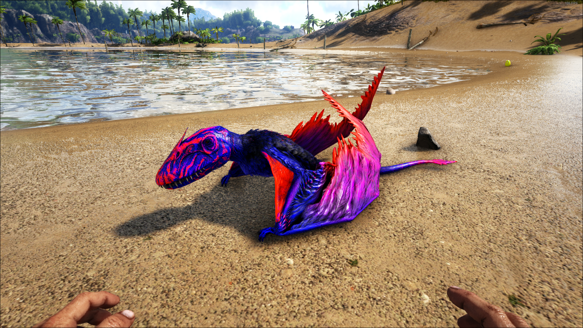 ark dimorphodon