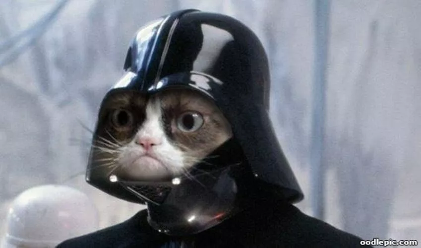 darth grumpy