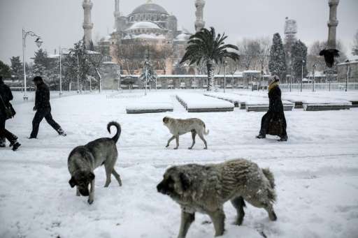 istanbul climate december