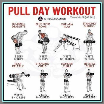 dumbbell pull day