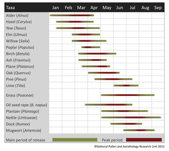 pollen count uk