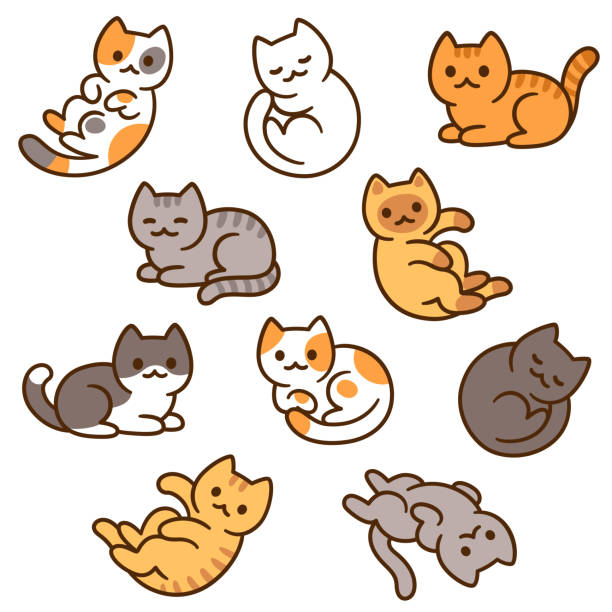 kawaii pics of cats