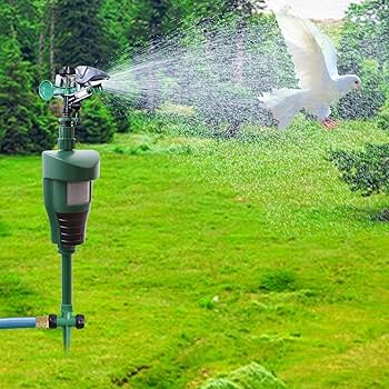 motion activated lawn sprinkler