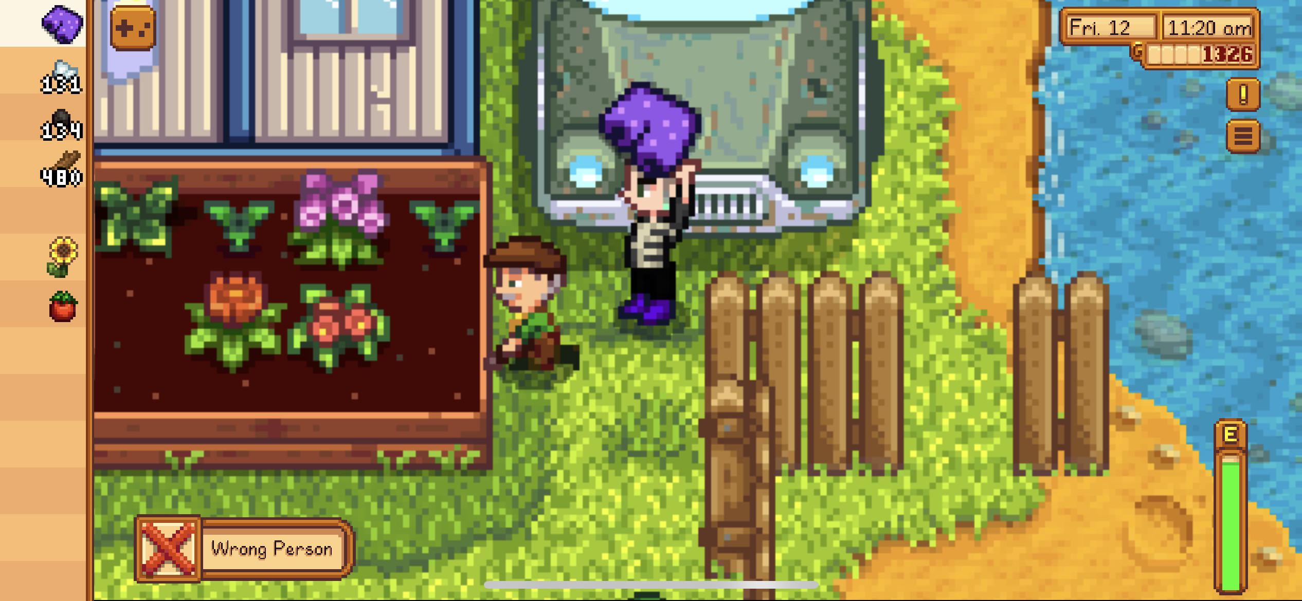 purple shorts stardew valley