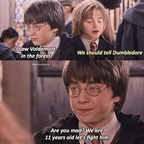 hilarious harry potter memes