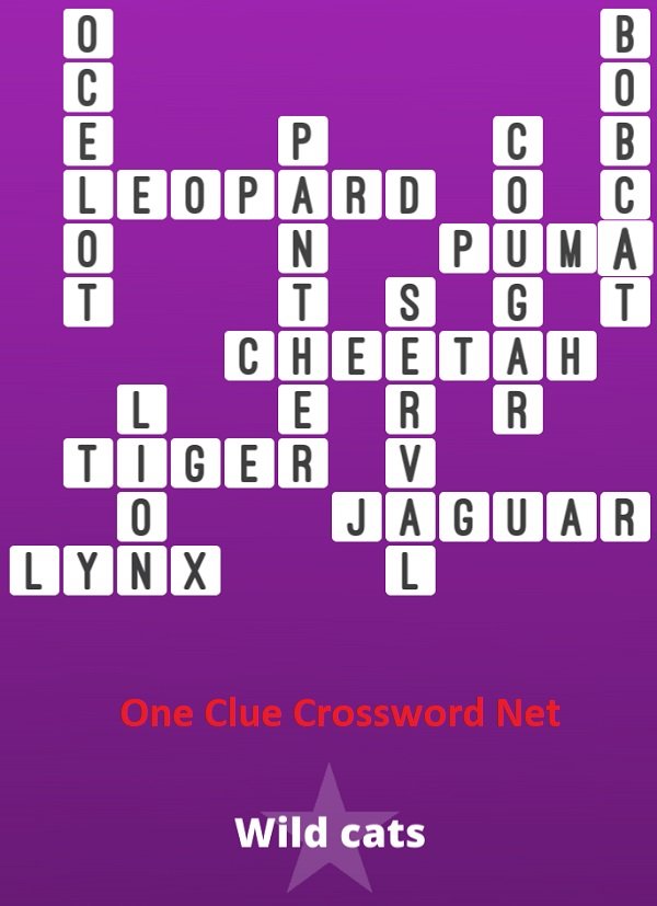 crossword clue wild cat