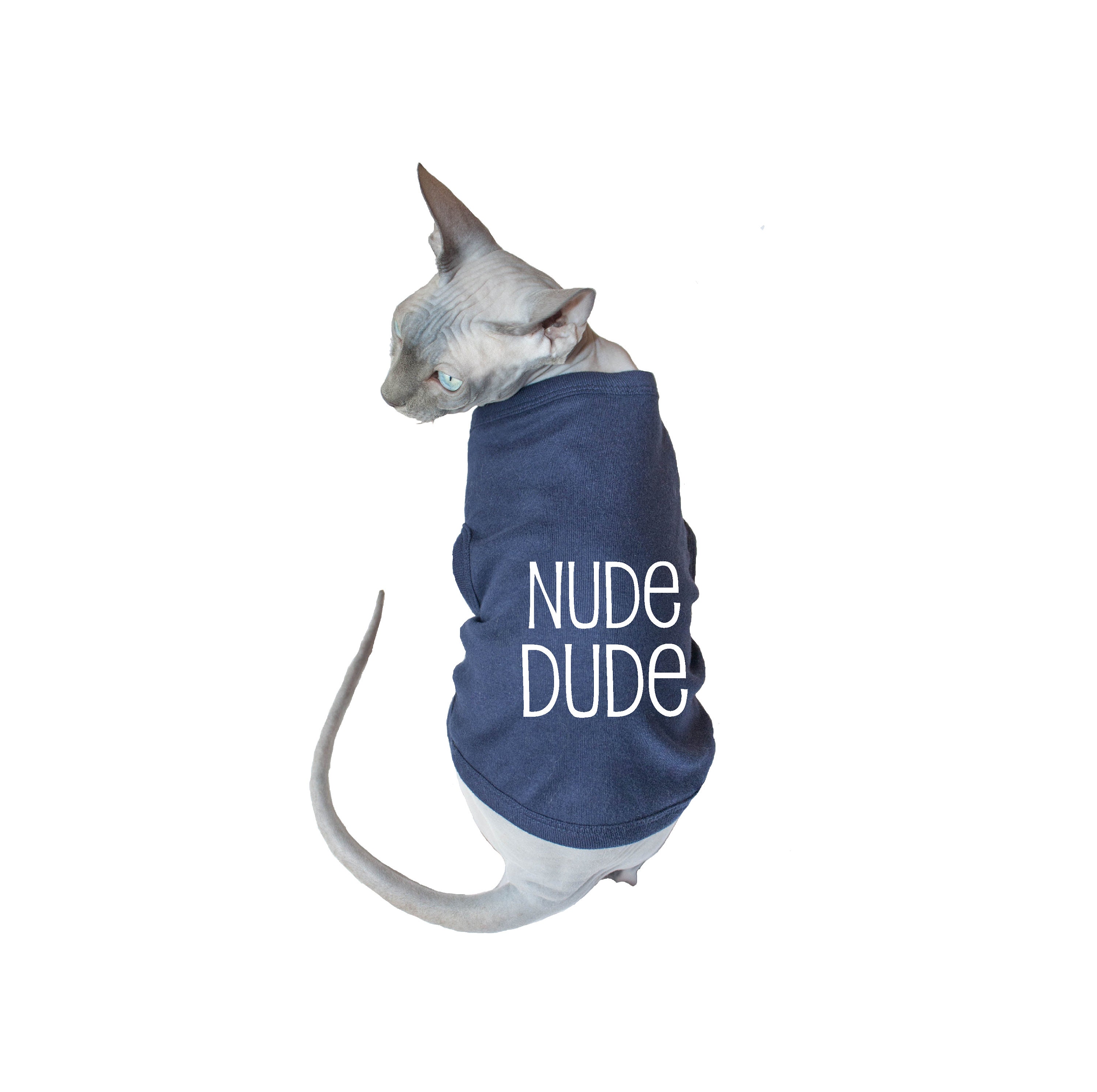 clothes for hairless cats