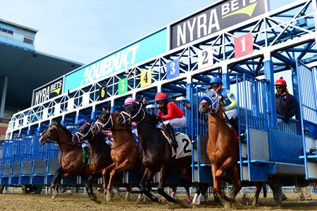 aqueduct racetrack live racing