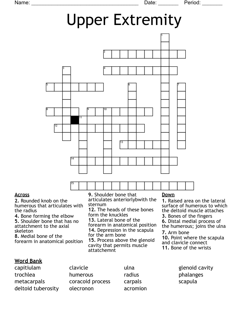 join connect crossword clue