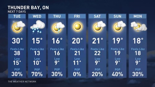 weather network thunder bay