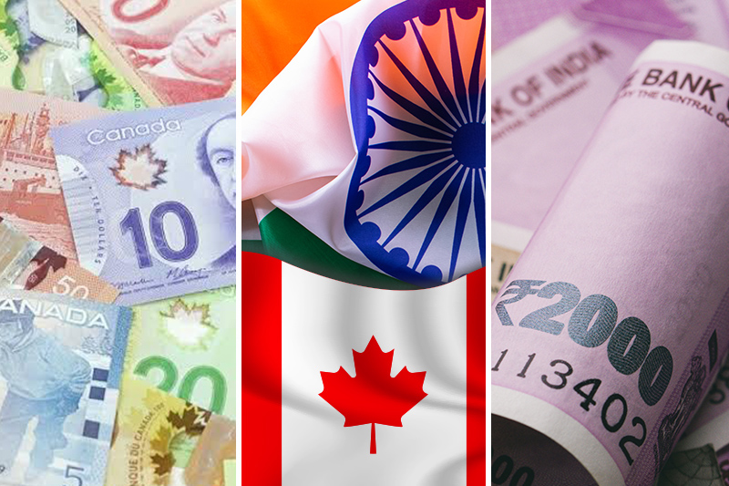 canadian dollar to india