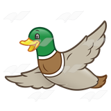 a flying duck crossword clue