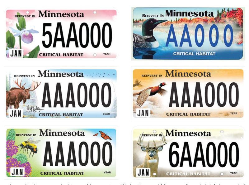 minnesota vanity plates availability