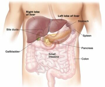 pain in right side abdomen under ribs