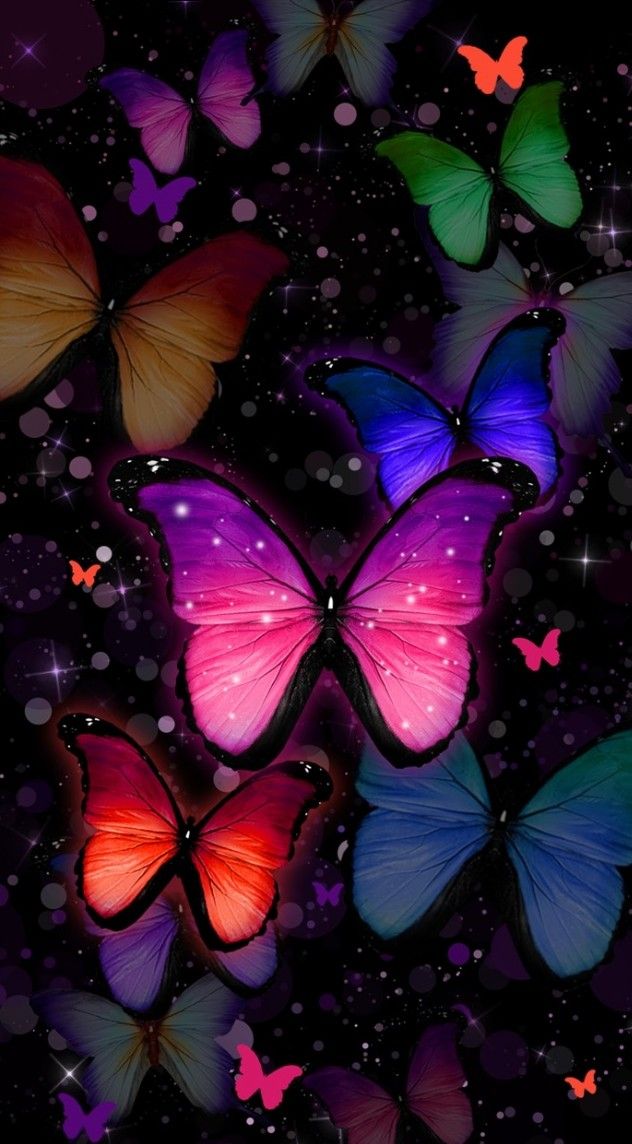 butterfly colorful wallpaper