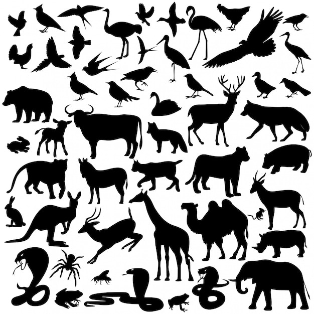 animal silhouette patterns