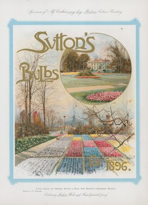 suttons bulbs