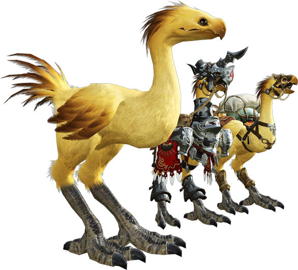 final fantasy 14 chocobo