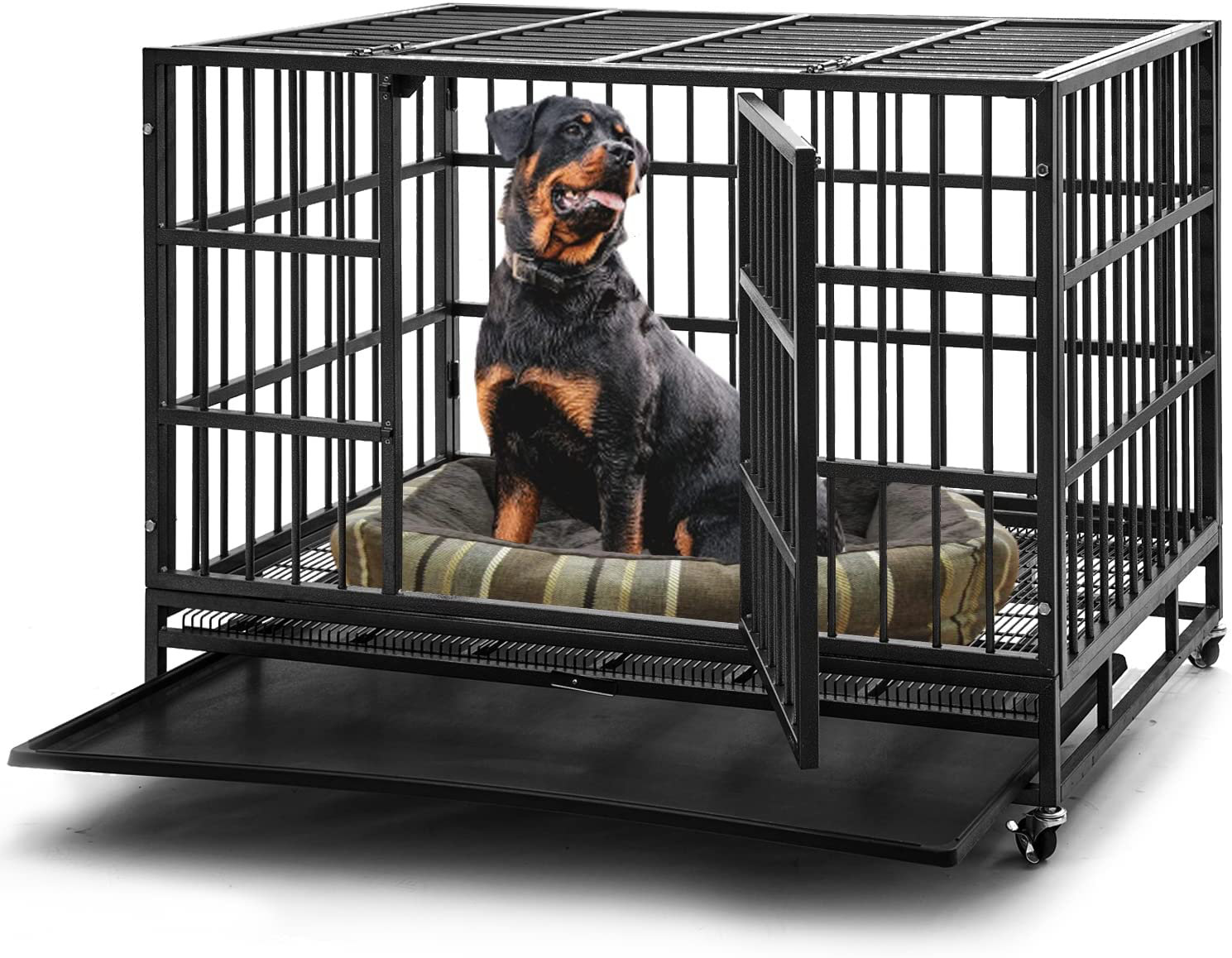 dog crates xl