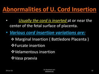 umbilical cord abnormalities ppt