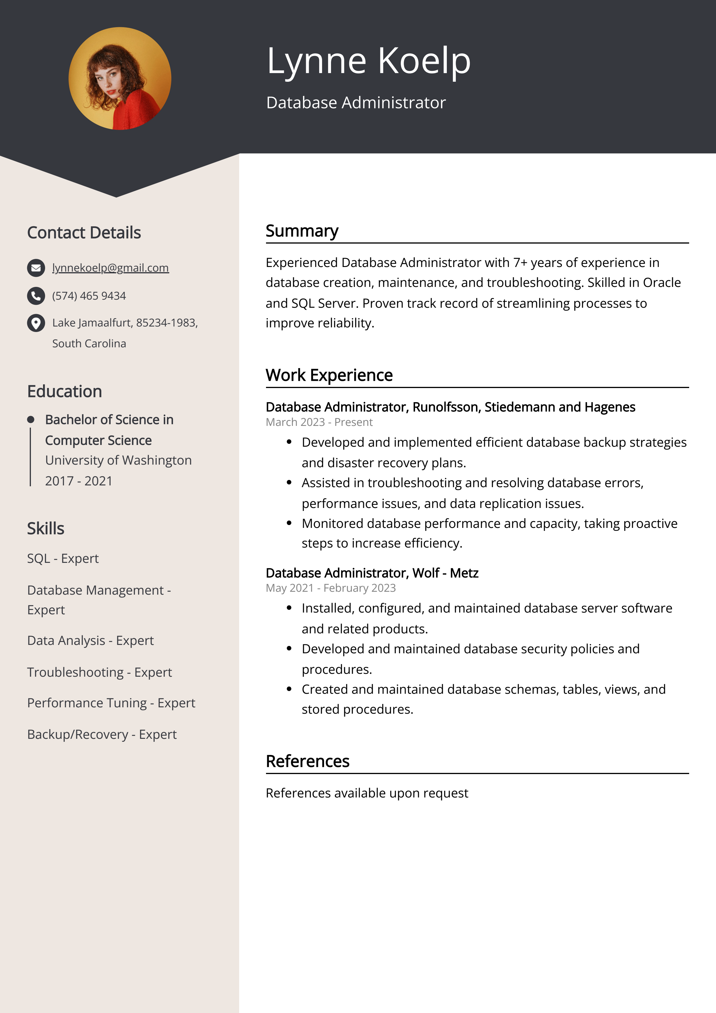 hire it resume database