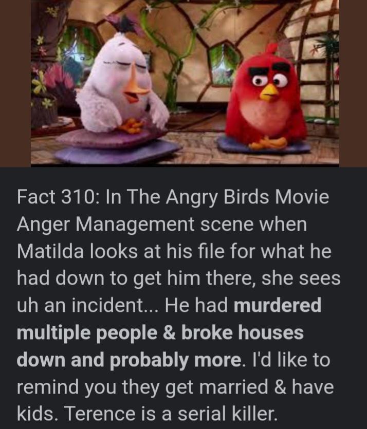 what did terence from angry birds do