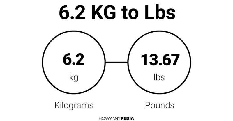 2.6 kgs in pounds