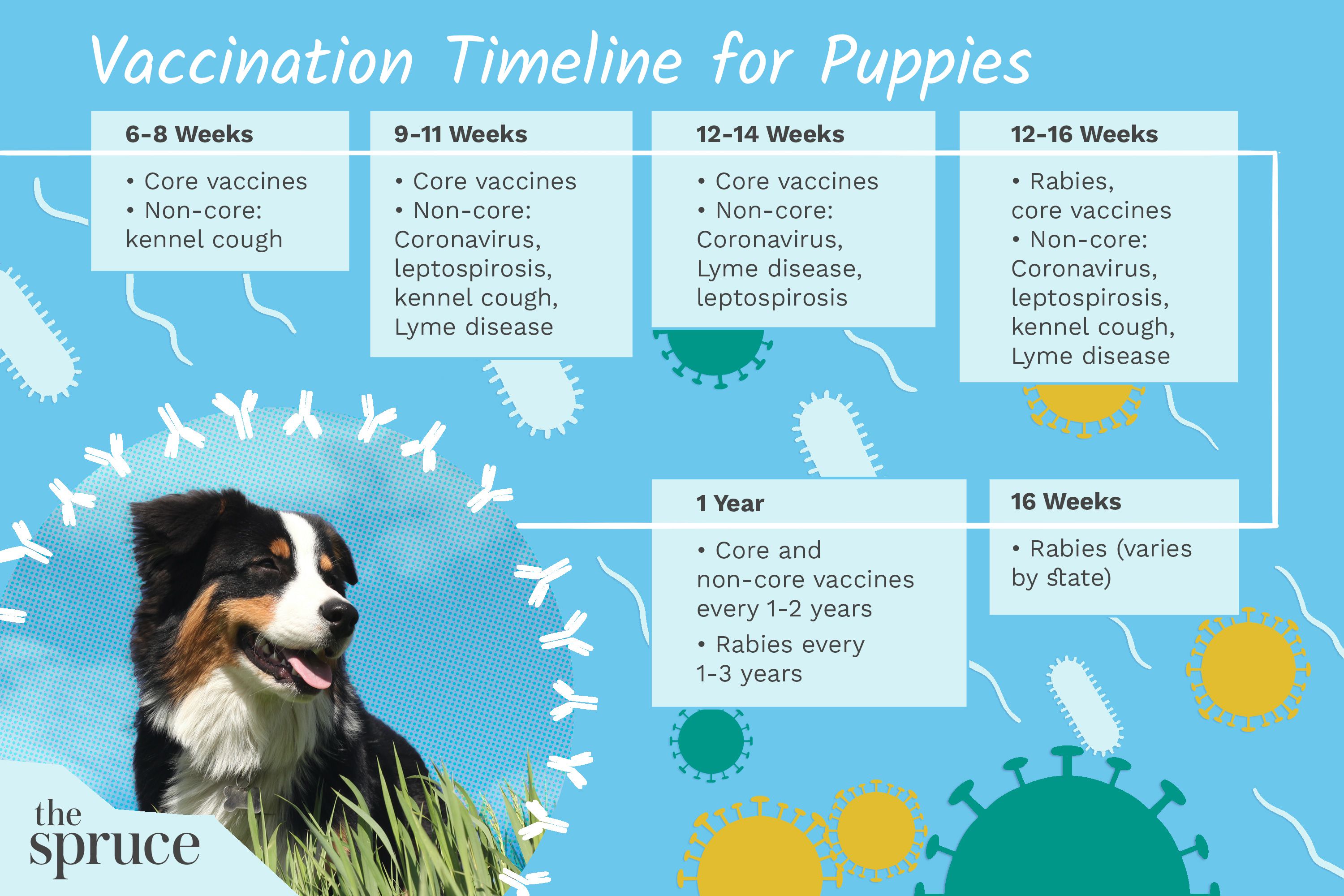 puppy shot guide