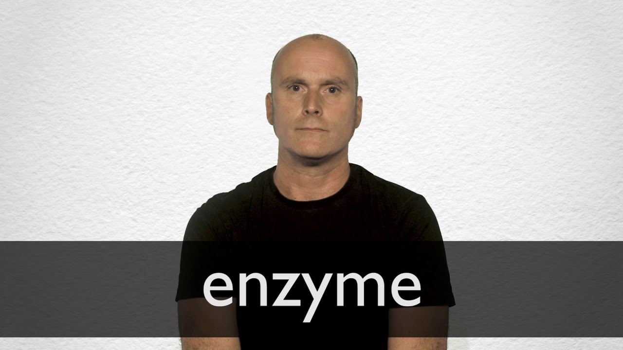 enzyme pronunciation