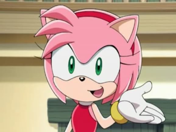 amy the hedgehog sonic x