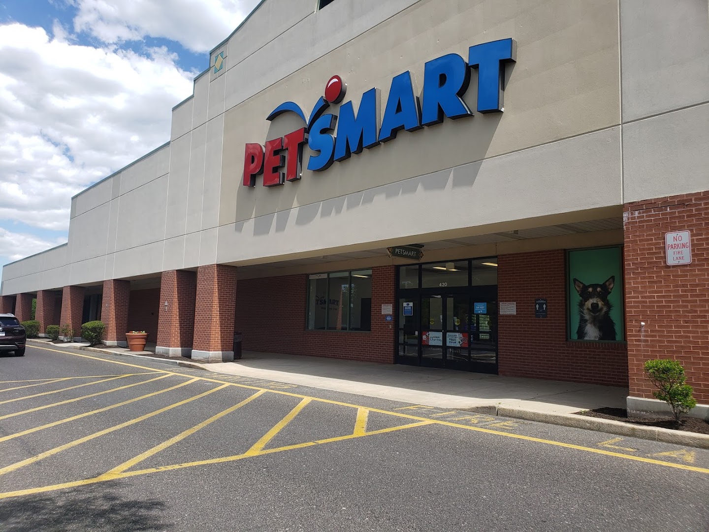 petsmart near me