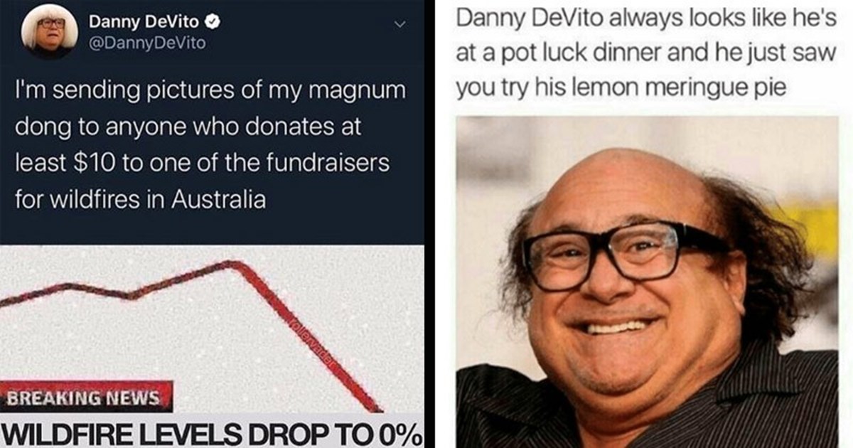 danny devito memes