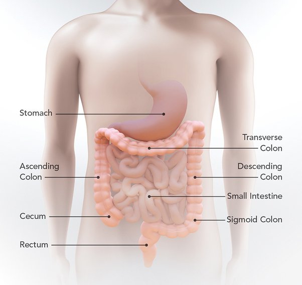 pain behind right rib