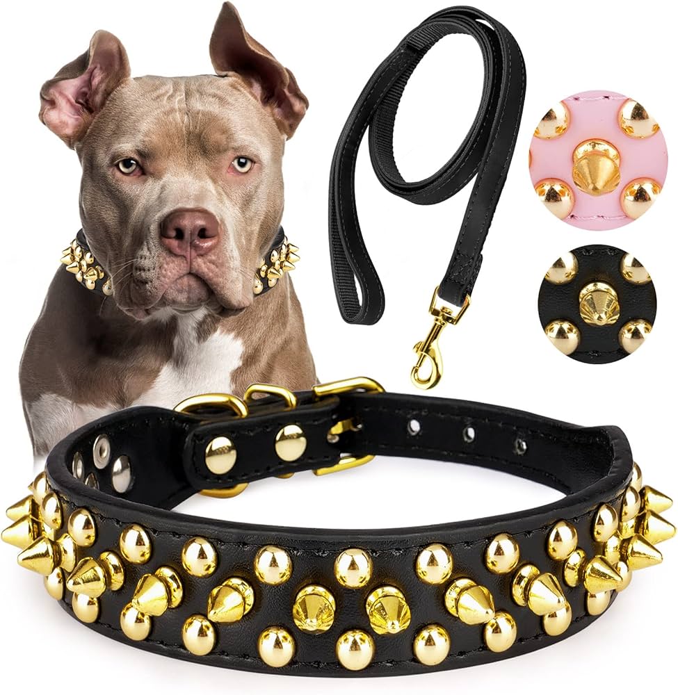 spiked collars for dogs amazon