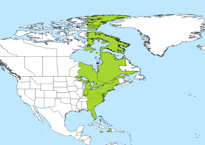 convert gmt to eastern time