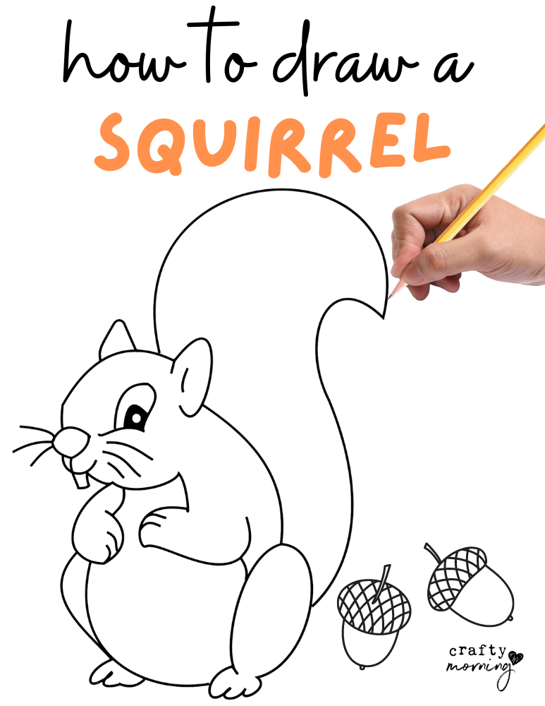 easy simple squirrel drawing